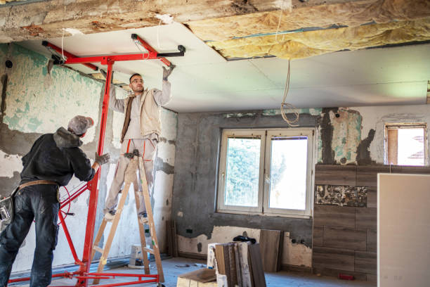 Best Commercial Insulation in Sunset Hills, MO